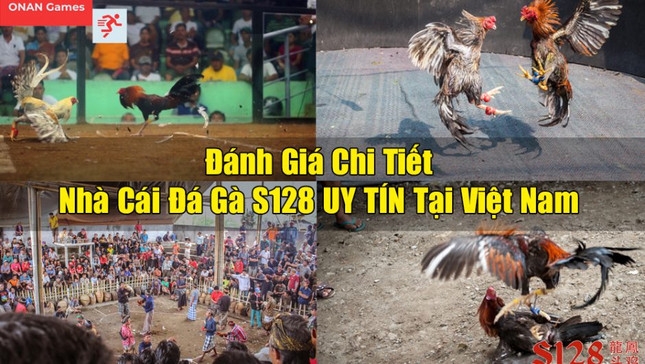 S128 – Đánh Giá Chi Tiết Nhà Cái Đá Gà S128 UY TÍN Tại Việt Nam