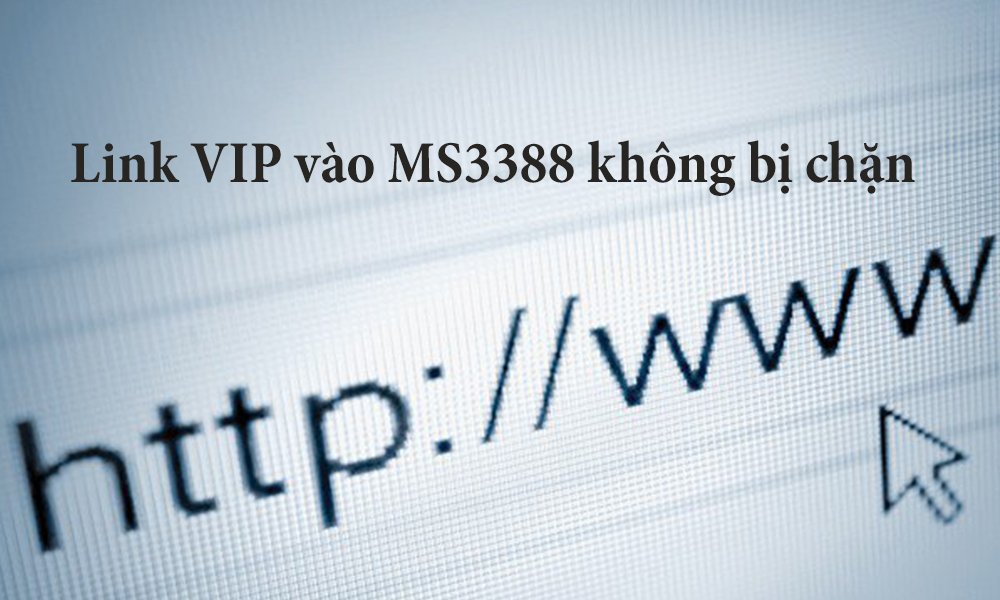 Link VIP vào MS3388